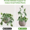 2/4/6/8/10PCS Transparent Acrylic Trellis for Indoor Plants,Curved Plant Stakes for Climbing Vines, Hoya, Pothos, and Ivy 6