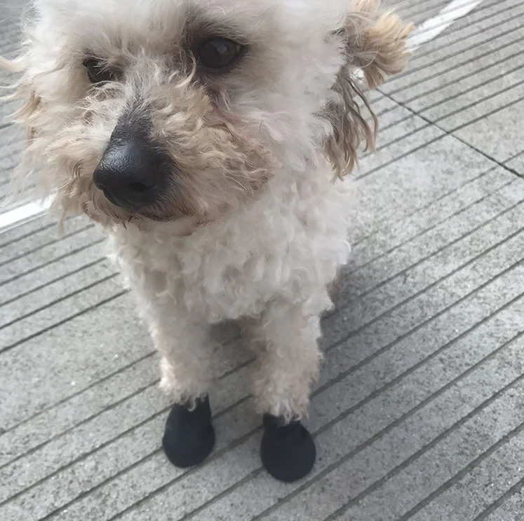 Title 31, 4Pcs Pet Dog Rubber Waterproof Shoe Cover Pet S...