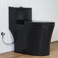 Elongated One Piece Toilet 10" Rough-in, Matte Black Toilets, Powerful Dual Flush Modern Toilet 1