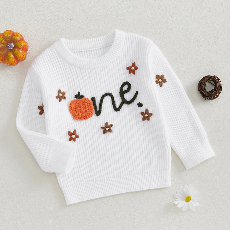 Spring Winter Knit Baby Sweater for Boy Girl Clothes Pumpkin Letter Flower Embroidery Infant Long Sleeve Pullover Tops Jumpers