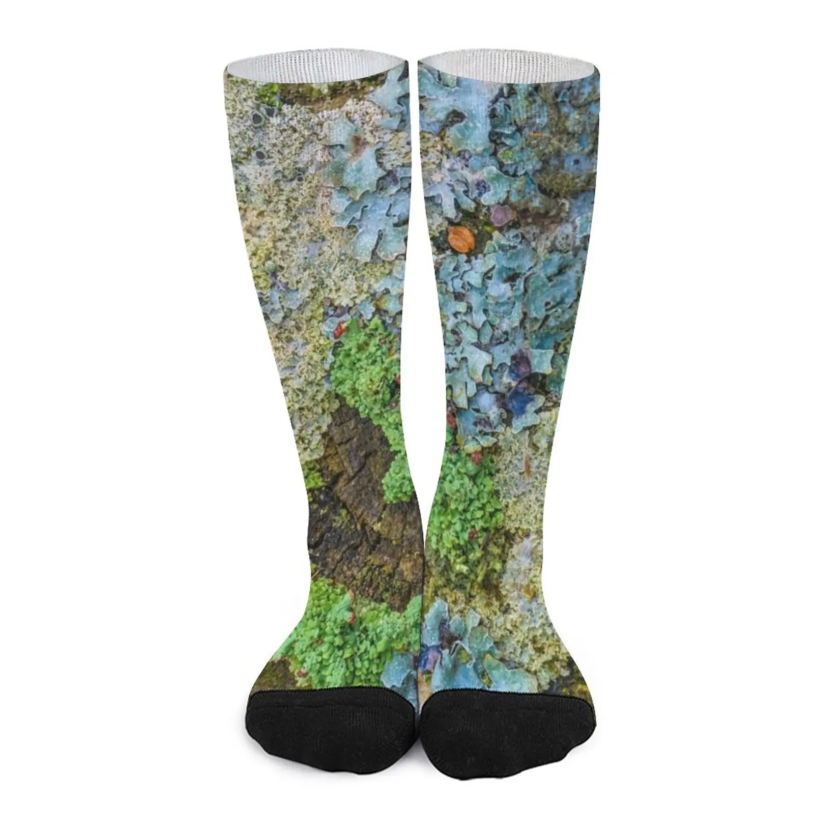 Lichen Springtime Looks Socks black socks Men gift Christmas