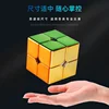 shengshou Plating 2x2x2 Magnetic Magic Cube Toys 2x2 Professional Speed Puzzle Toys 2