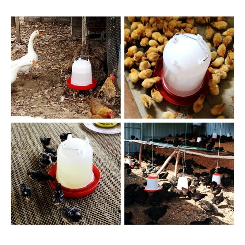 System pojenia drobiu Pojemnik na wodę dla kurcząt Ptaki Kaczątka Ptactwo: Bezproblemowe i długotrwałe