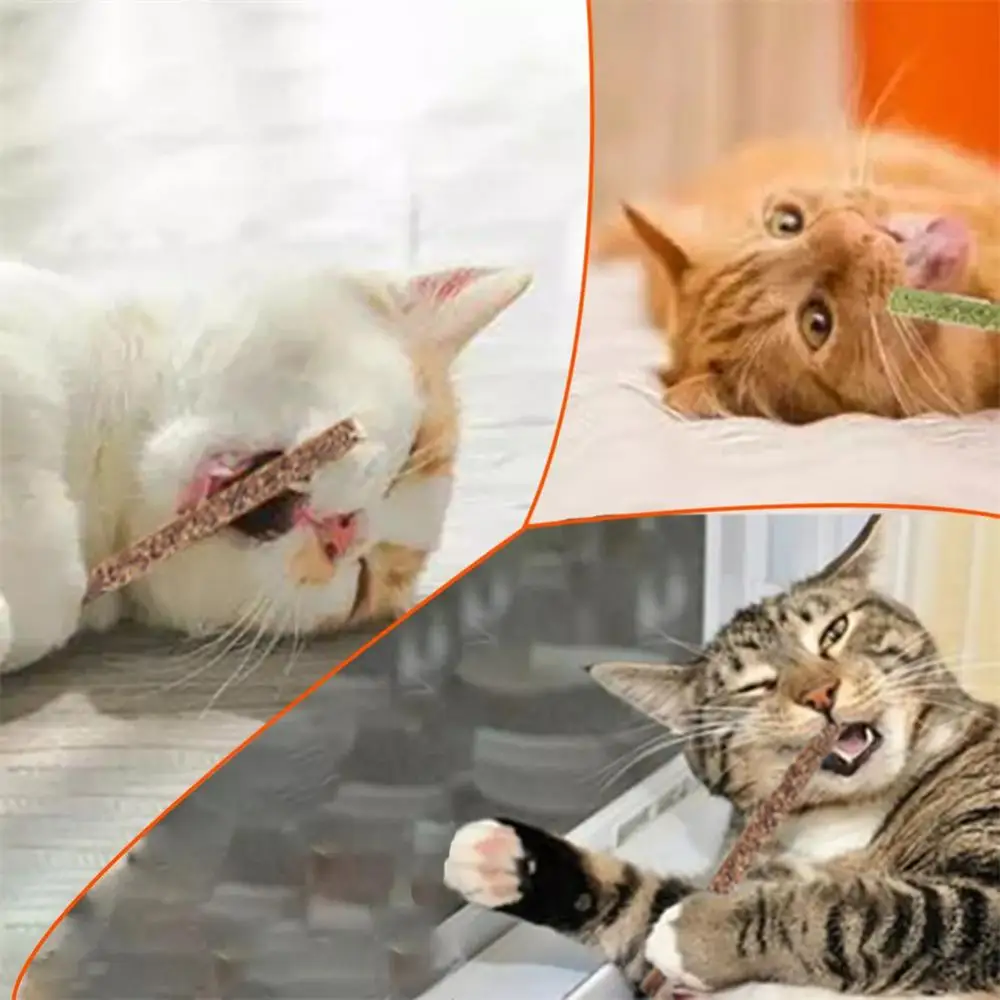 

Sticks/box Cat Chews Products All Natural Catnip Sticks Wood Tengo Molar Sticks Teeth Cleaning Cat Sticks for Cats of All Ages