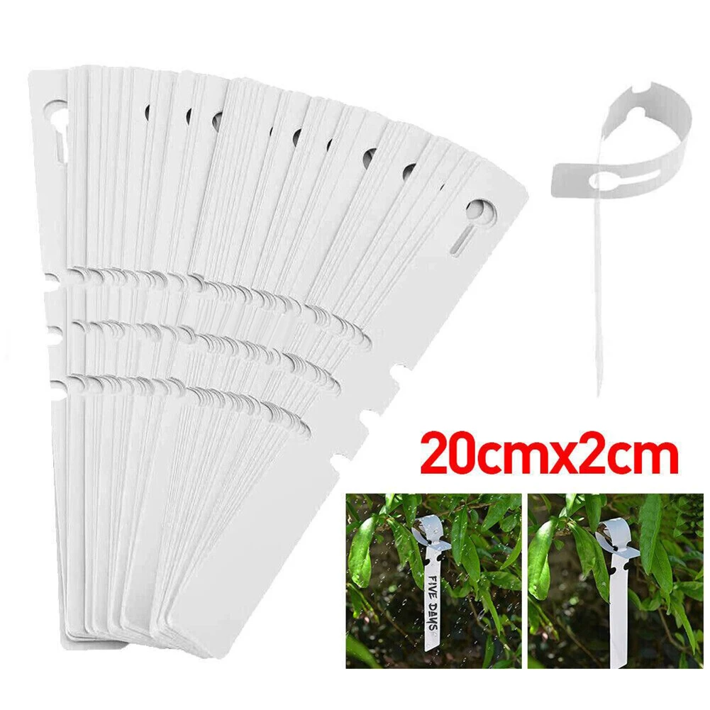 

Tags Plant Labels Tray Vegetable Waterproof White 200pcs Bonsai Flower Home Marker Nursey Plastic Plate Garden
