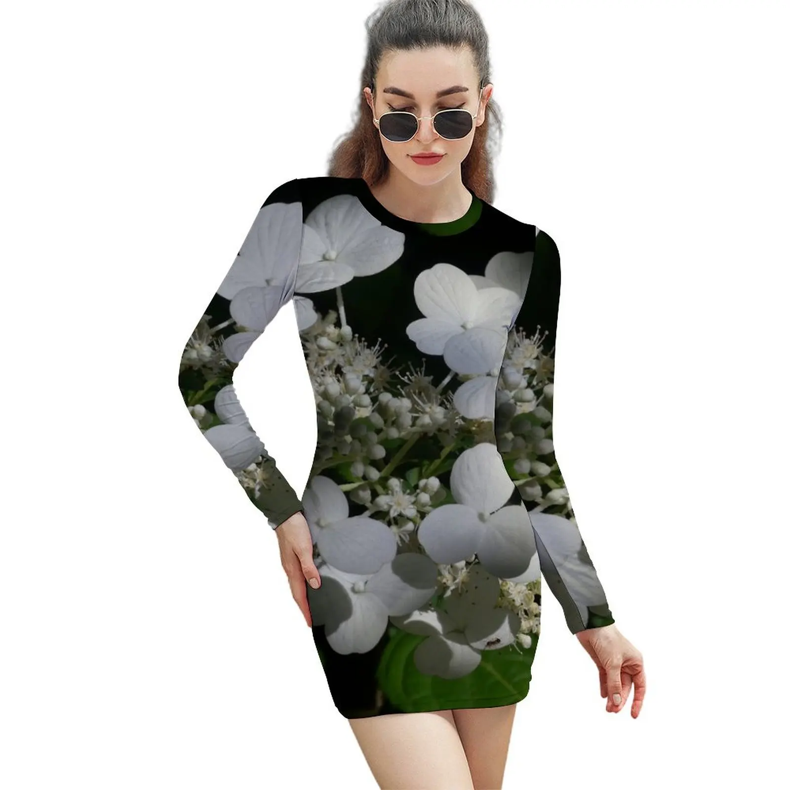 

T-Bird’s Night Garden at Noon Long-Sleeved Sheath Dress evening dress dresses for official occasions long dress women summer