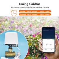 วาล์วน้ำอัตโนมัติ 1/2 นิ้ว 3/4 นิ้ว 1 นิ้ว ระบบ Tuya Zigbee Wifi สำหรับสวน ตั้งเวลาปิดน้ำ ควบคุมการรดน้ำ รองรับ Alexa และ Google Home 3