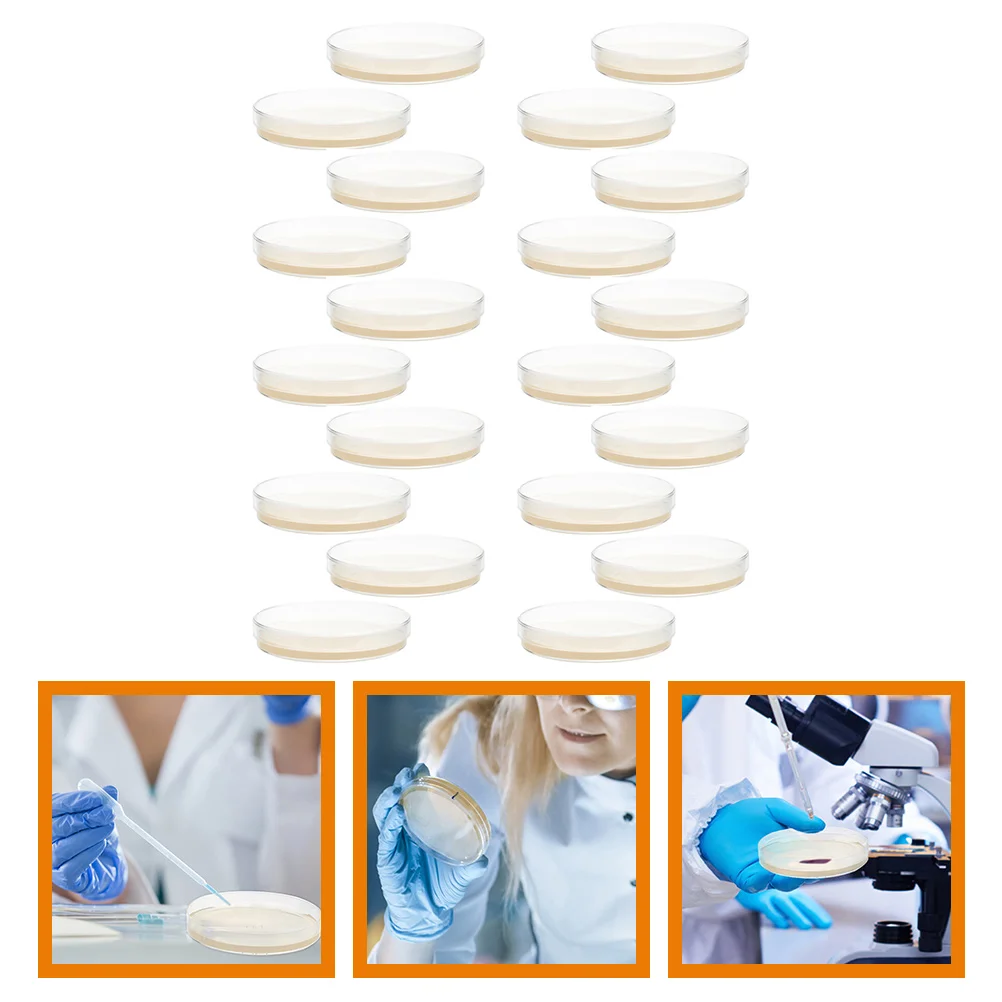 

20 шт., чайные тарелки для роста картофеля, 7 см