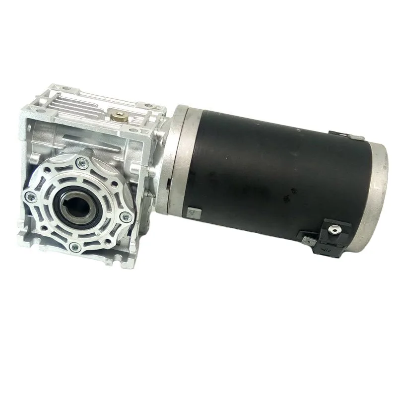 

Gear Motor 24V 500W 12V Worm Drive Dc Motor