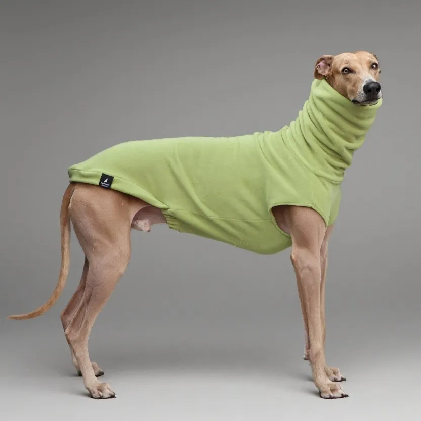 봄 가을용 부드러운 플리스 스웨터, 스페니쉬 그레이하운드용 하이넥 그린 슬리브 스웨트셔츠, 위핏 사루키 강아지 옷