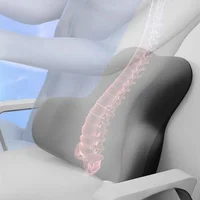 Memory Foam Lumbar Back Cushion Car Office Chair Lumbar Cushion Postpartum Waist Support Multi Functional Pain Relief Pillow 2