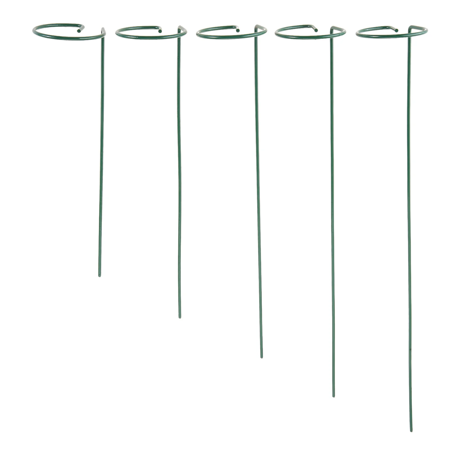 Green Plant Support Stake Ring Metal Single Stem Shrub Holder for Rose Flowers Vegetables Vine Luck Bamboo Tool