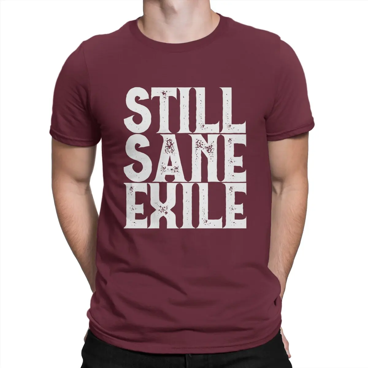 thumbnail image 1 of Camiseta Still Sane Exile para hombre, Path of Exile Leisure, algodón, cuello redondo, manga corta, ideal para regalar., 1 of 7