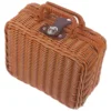 Imitation Rattan Box Simulated Handwoven Case Storage Baskets Retro Style Suitcase Duvet Wicker Picnic Hamper Toy 3