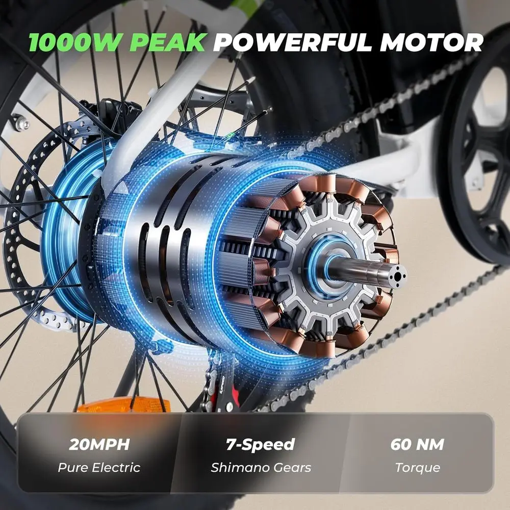 Cargo Cruiser Electric Bike 3