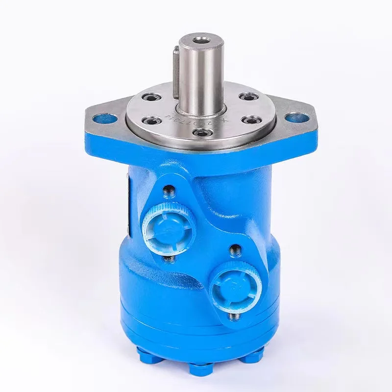 BM1 Hydraulic Motor 50/80/100/125/160/200/250/315/400/500 Cycloidal Hydraulic Motor 3