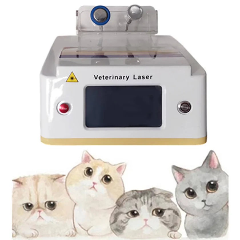 

Beauty Machine Cold Veterinary Laser Therapy Equipment For Pain Relief Animal Wound Healing Sports Injury Laser Physiotherapy
