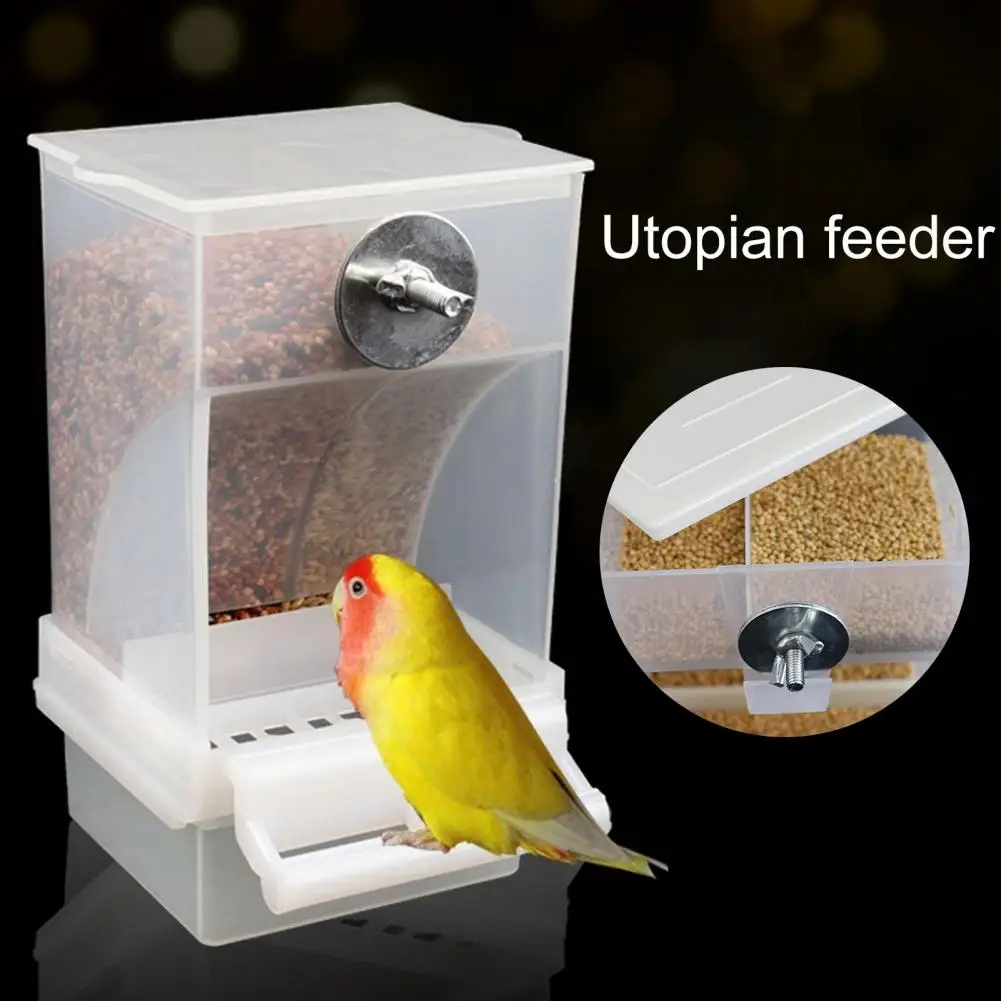 Safe Bird Feeder Balance of Food Observation No Mess Anti-splash Spacious Automatic for Small Birds 1Pc bird feeder