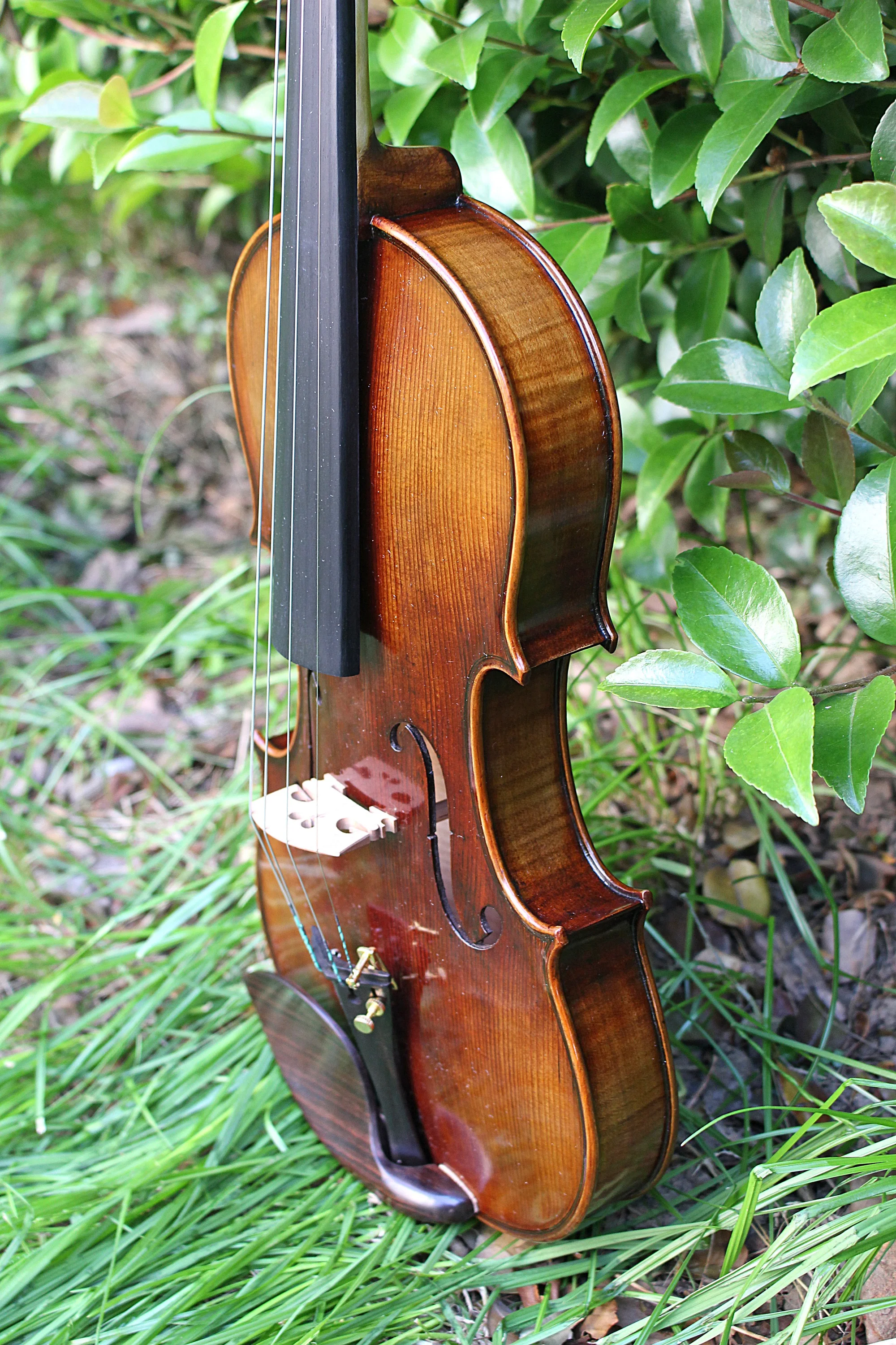 TONGLING Professional Top Master Violin 4/4 Size Handmade Oil Varnish & 20 Years Old European Spruce Antique Violin