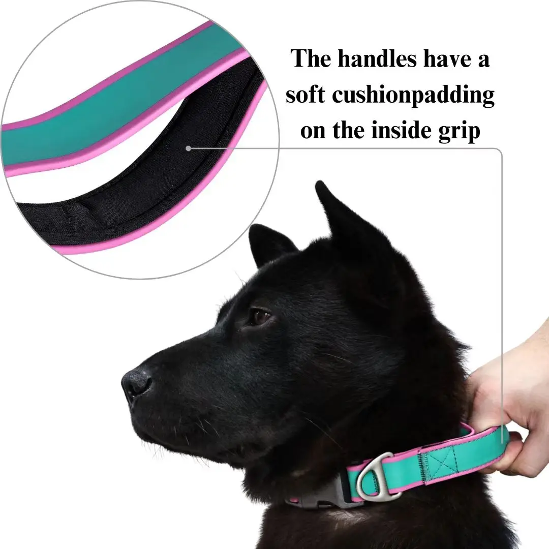 Collier pour chien réglable et imperméable avec boucle rapide_voghion.com