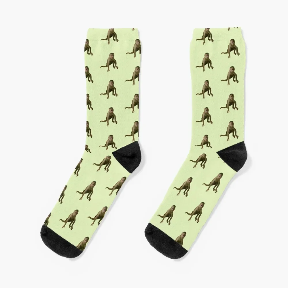

Capuchin Monkey Socks funny gifts christmas gifts golf Heating sock Socks For Girls Men's