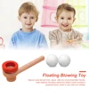 Eco-friendly Wooden Floating Blowing Toy with Balls Blow Pipe Durable Educational Toys Board Game Balance Training Toys 1