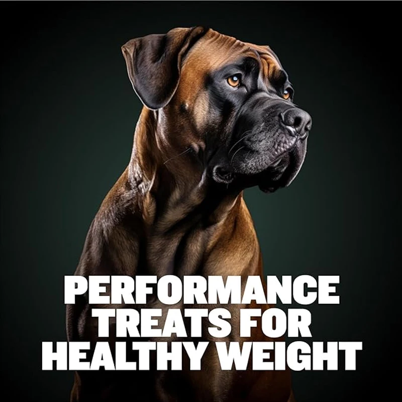 2X BULLY MAX Power Chews For Dogs, Increase Strength, Muscle, Weight Gain 2-in-1 Performance Health Supplement Weight Gainer