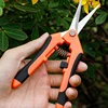 Garden Stainless Steel Flower Scissors Gardening Shears Fruit Grape Thinning Pruning Shears Straight Elbow Gardening Scissors 6