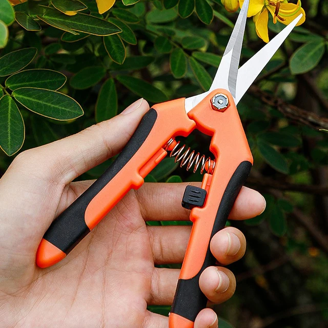 Garden Stainless Steel Flower Scissors Gardening Shears Fruit Grape Thinning Pruning Shears Straight Elbow Gardening Scissors 6