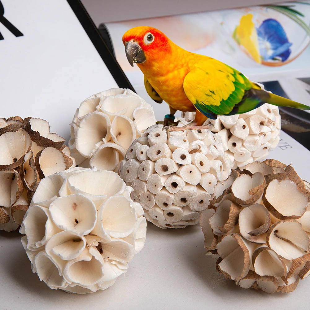 6 Pcs Natural Birds Toys Chew Sola Balls Bird Foraging Toys Parrot Chew Bird Teeth Grinding Shredding Foraging Toy Pets
