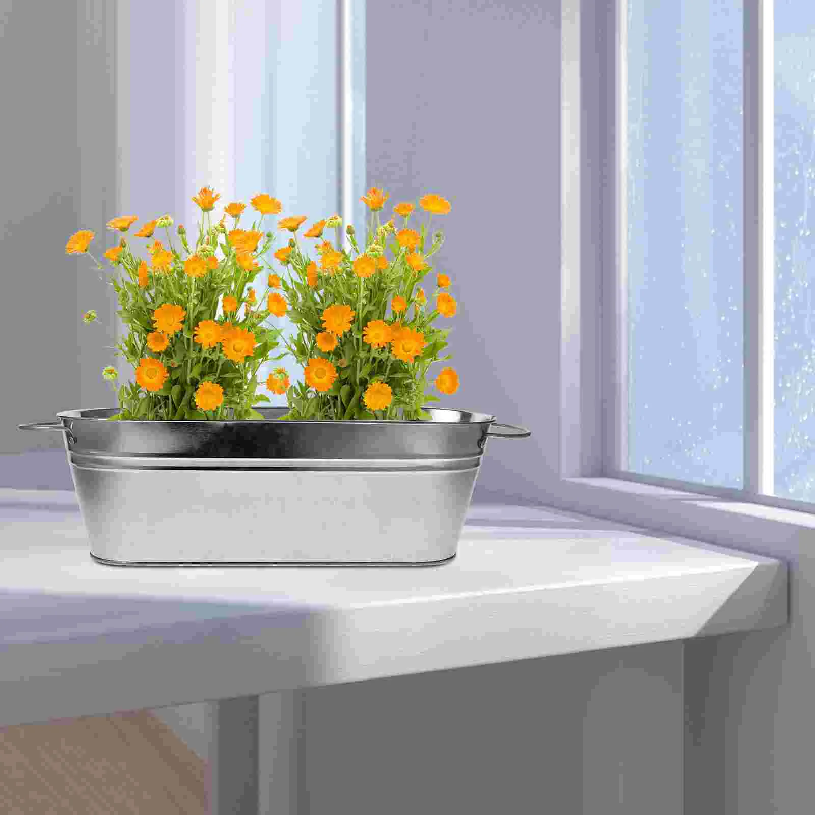 

Vintage Planter Flower Pot Iron Tub Garden Metal Tin Bucket Rustic Country Style Oval Garden Flower Vases Succulent Container