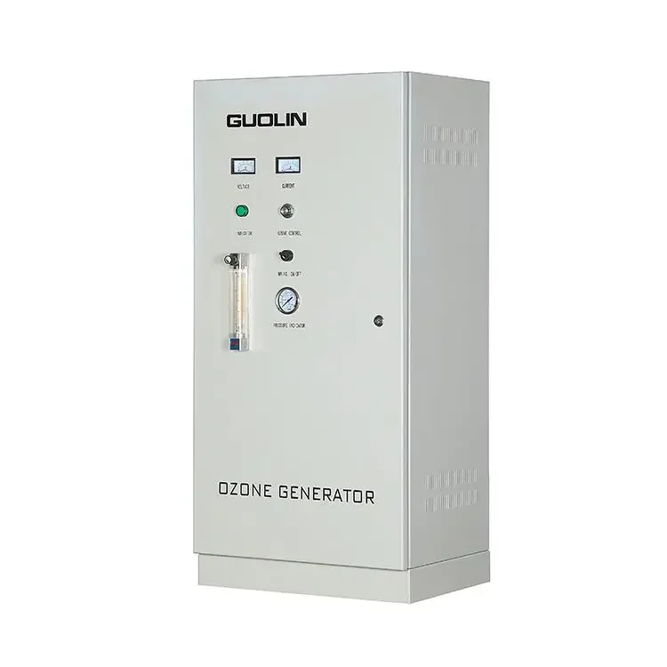 20g/h Ozone Generator Drinking Water Ozone Generator Bottle Water Ozone Generator 5