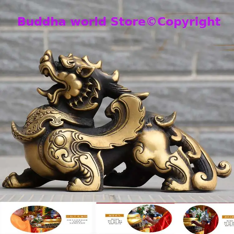 Una Coppia 2 Pezzi Negozio Di Casa Azienda Negozio Talismano Portare Ricchezza Soldi Buona Fortuna Drago Pi Xiu Scultura In Bronzo Statua Feng Shui