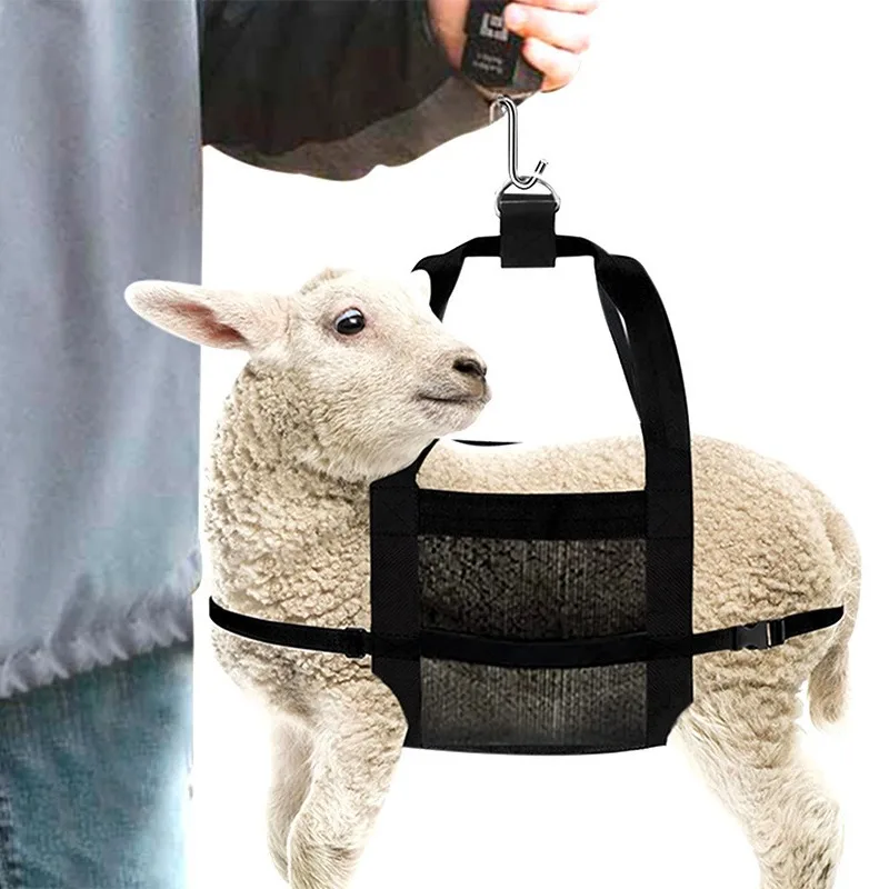 Livestock Hanging Weighing Scales and Slings for Calves, Cattle and Sheep
