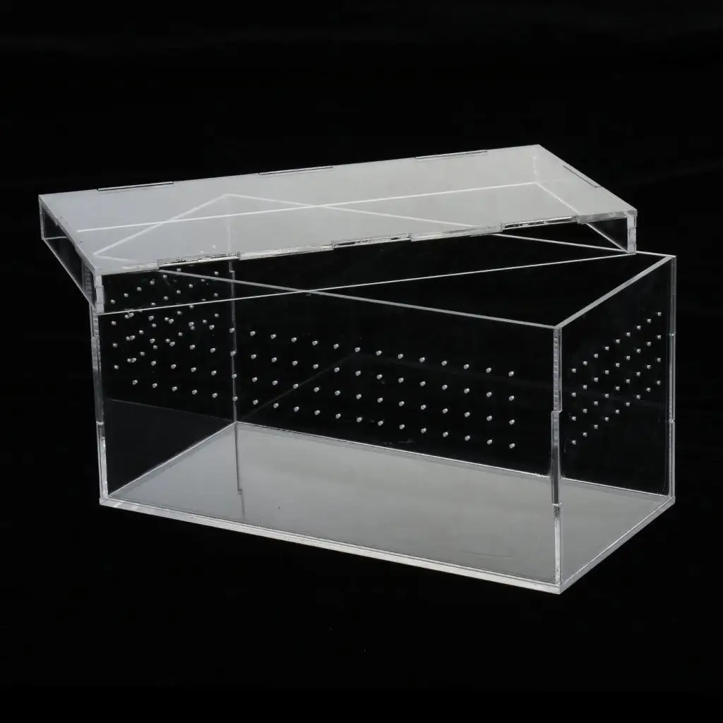 Plastic Reptile Vivarium Terrarium Easy to Observe with Reptile Terrarium Accessories for Small Animal Care