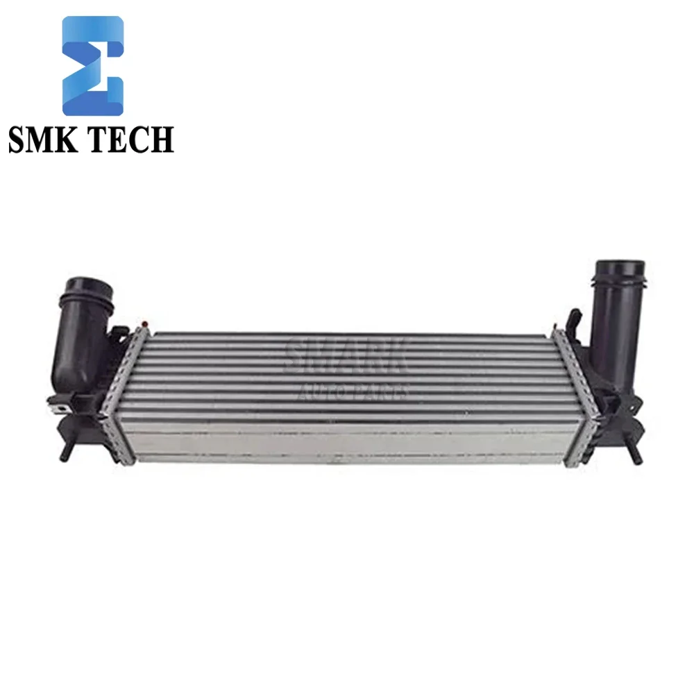 

Inter Cooler Assy Aluminum INTERCOOLER 14461-4JA0B EH940003 87214 144614JA0B 1618175 INTERCOOLER Turbo-Radiator