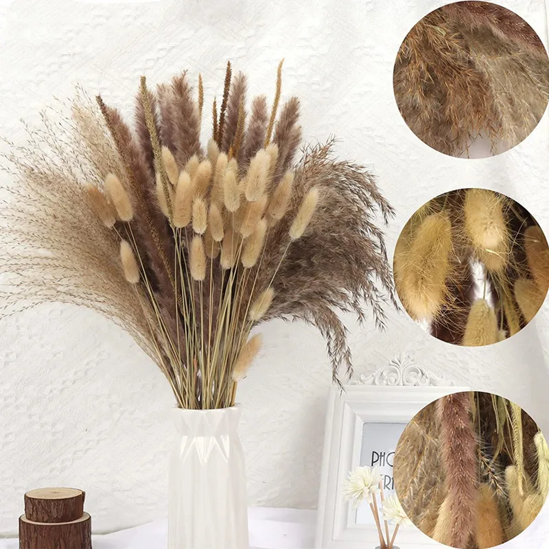 

65PCS Natural Bunny Tail Grass Dried Flowers Bouquet Pampas Grass Decor Fluffy Room Phragmites Arrangment Boho Wedding Decorati