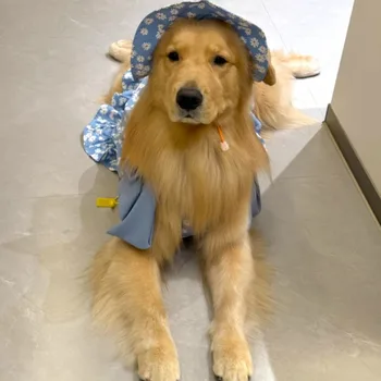 Large Dog Summer Dress 1