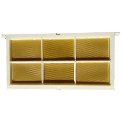 Deluxe Honeycomb Collector Kit with Transparent Cassette Boxes - 500g Honey Box