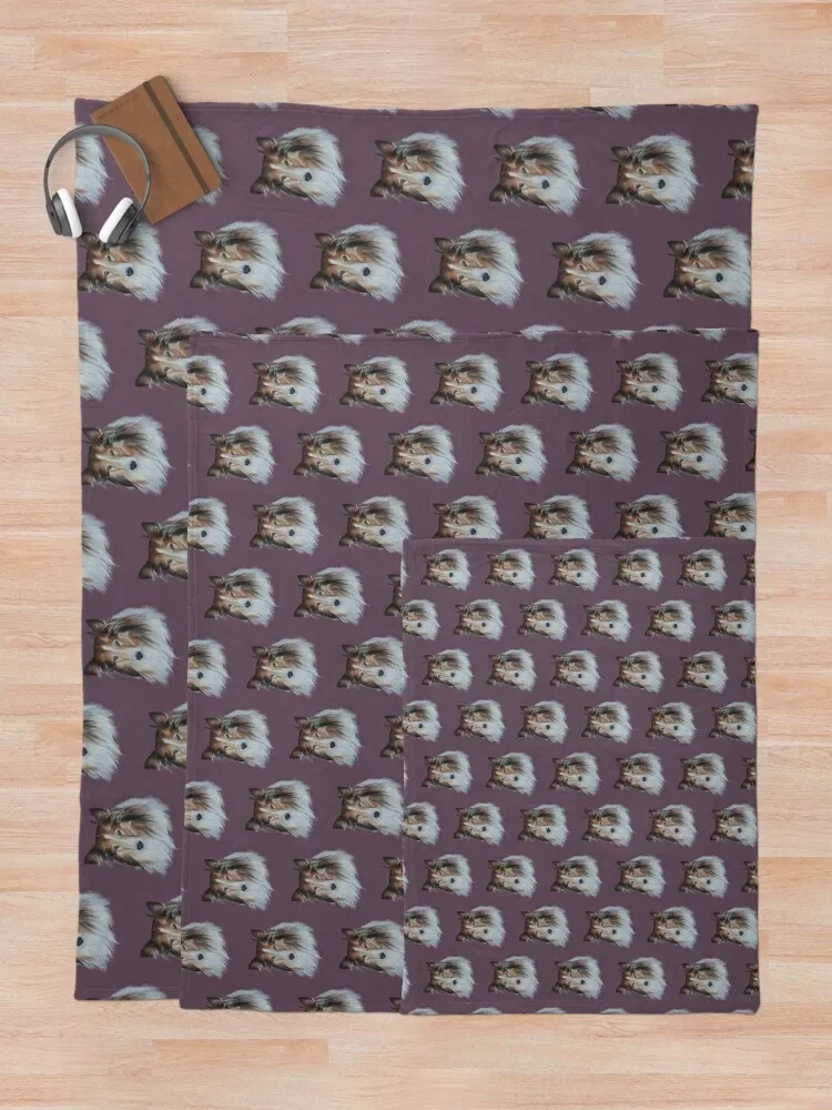 ���� �� ���� �ݸ� ������ ���, �ҷ��� �ʴ��� ������ ����, ������ �ܿ� ���