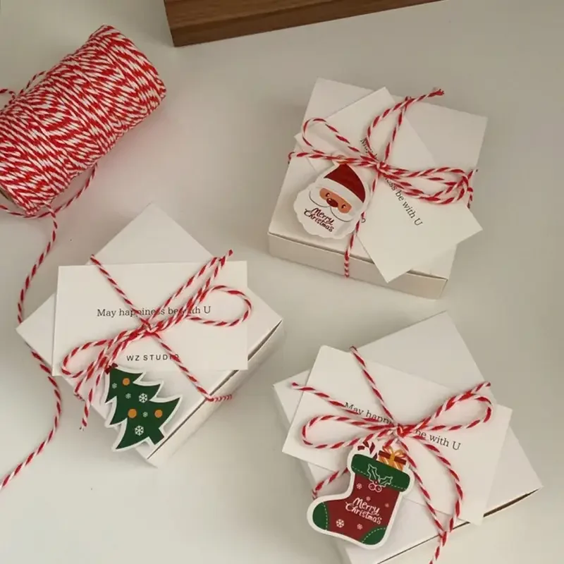 100m Decorative Rope for Christmas Gift Wrapping Tree Decor Holiday Party
