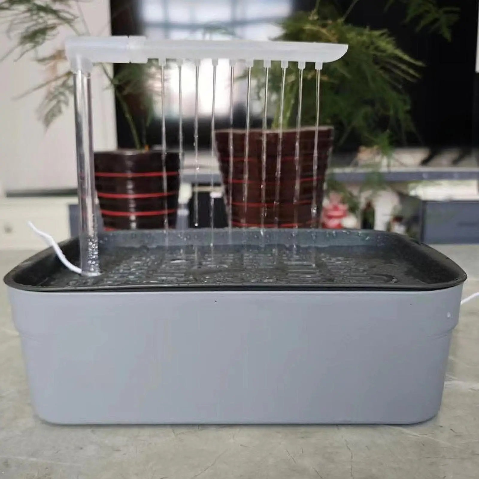 Automatic Pet Bird Bath with USB Cable Easy to Clean Parrot Bathtub for Cockatiel African Grey Water Bowl Lovebirds Budgie 2