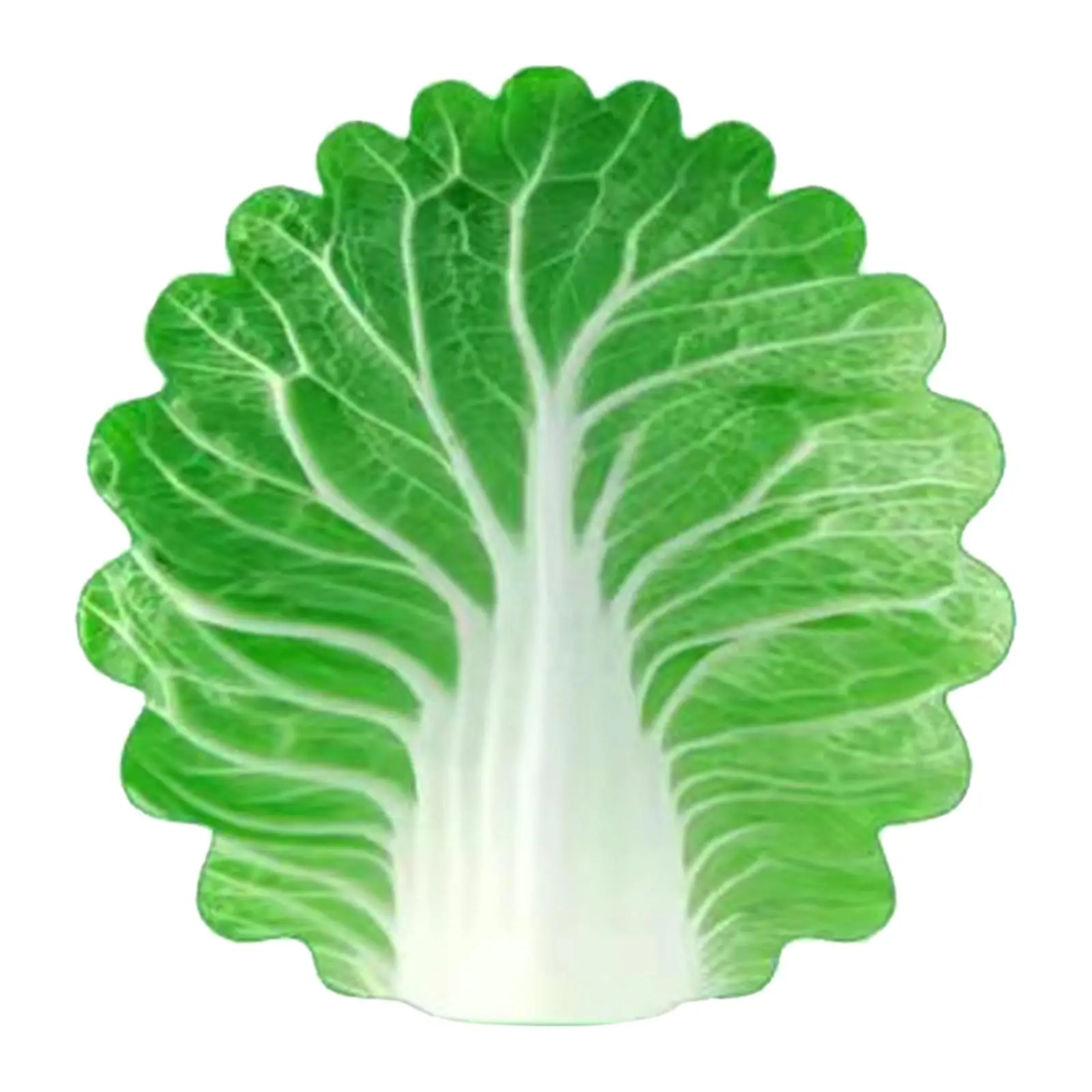  ����� ��� ������ ��� ���, ��Ź ������ �ε巯�� �ö���, ���� ����Ʈ,  �����, ���� �� ���ƿ�