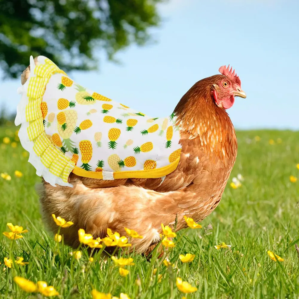 Hen Apron Feather Retainer Duck Goose Poultry Double Apron Back Protector Lace Edge Poultry Decorative Accessories Pet Products 3