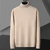 Men's Casual Slim Fit Basic Tops Long Sleeve Knitted Streetwear Lightweight Turtleneck Pullover Sweater Solid Color Sweater Men 5