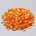 Shell Beads