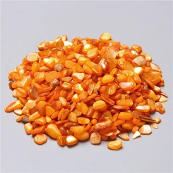 Natural Stone Crystal Chips - 50G (Shell Beads)