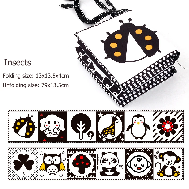 Animal Plants Insect