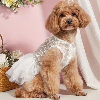 Summer Dog Wedding Suit 2