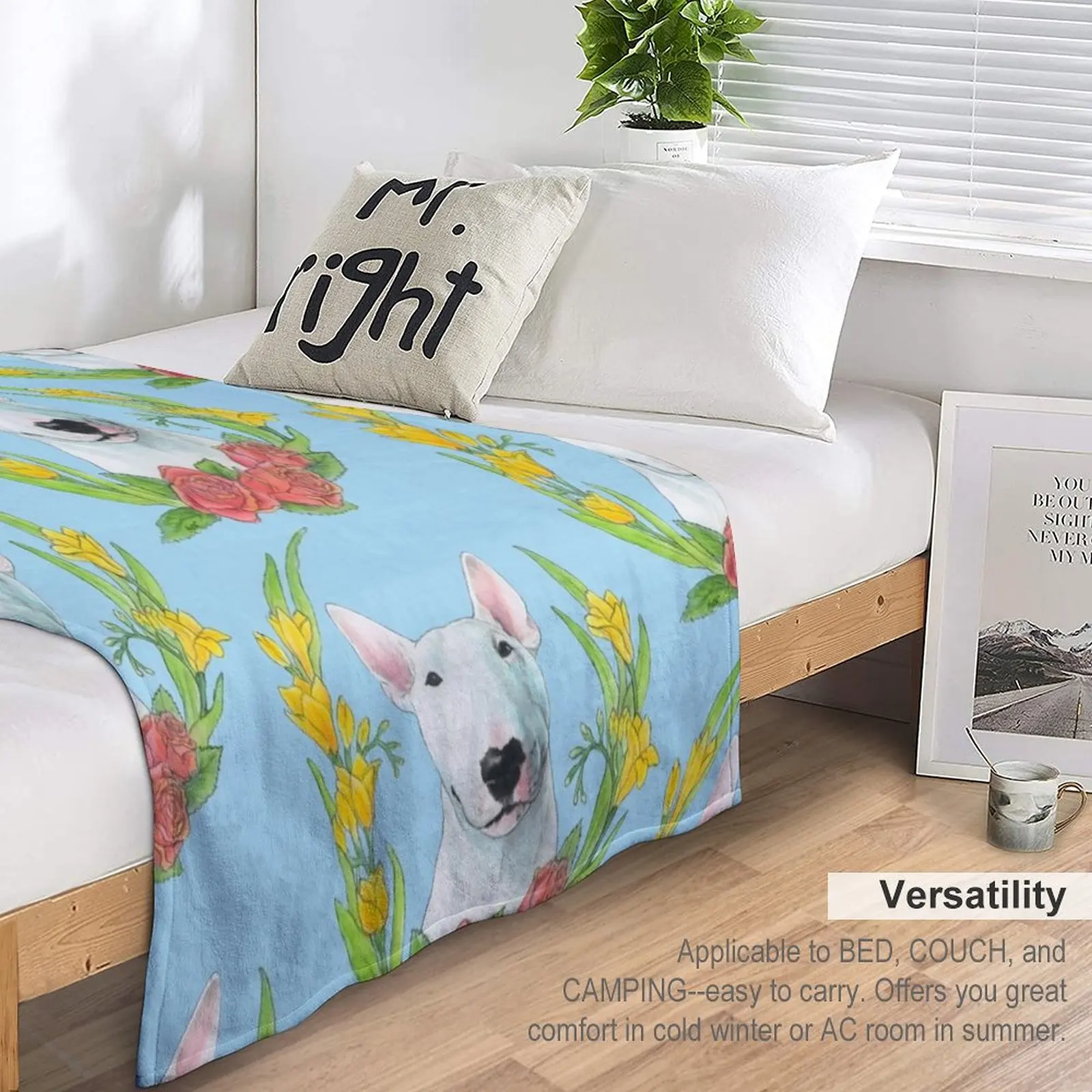 �� �׸��� �̹� ���� �� ���, ��� ���, ǫ���� ���, ���� ������ ���